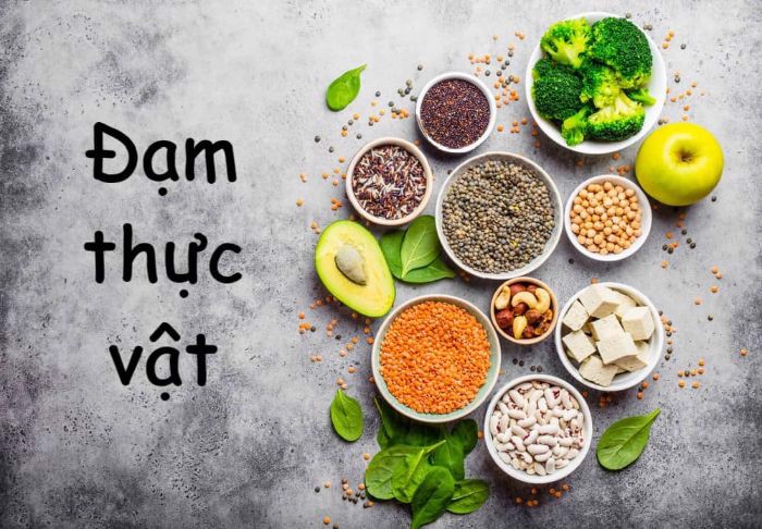 dam-thuc-vat