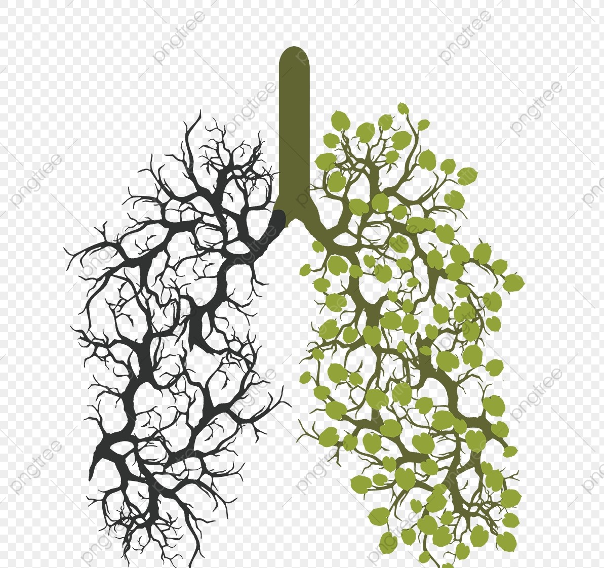 pngtree-vector-creative-lung-pattern-png-image_1309531